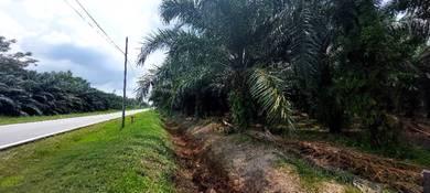 Agricultural-Land-for-sale-Telok-Panglima-Garang-Selangor