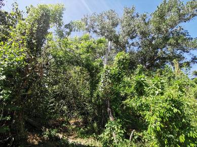 GOOD LOCATION Agriculture Land Taman Desa Jaya For Rent