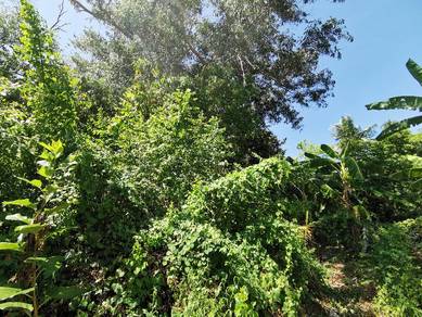 GOOD LOCATION Agriculture Land Taman Desa Jaya For Rent