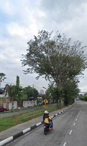 Gelugor Jalan Sultan Azlan Shah 2sty bungalow 8008sf Facing main road