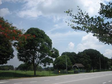 Bandar Tasik Kesuma  Below Market Flat land 10min To Eco Hill