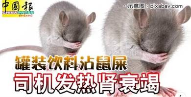 Pest Guard .H.14i