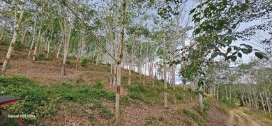 Agricultural-Land-for-sale-Slim-River-Perak