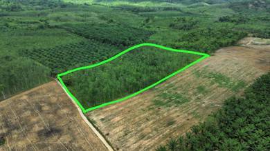 Agricultural-Land-for-sale-Kuala-Ketil-Kedah