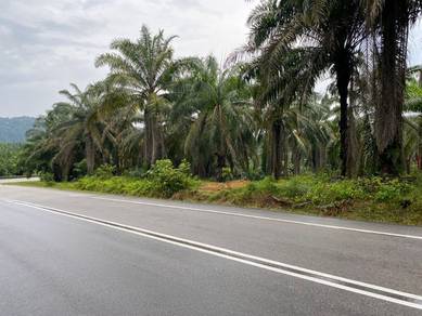 Tanah 1.8 Ekar Kelapa Sawit Main Road Pagoh - Lenga