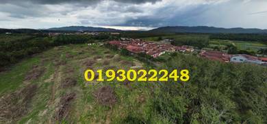 Agricultural-Land-for-sale-Kuala-Selangor-Selangor