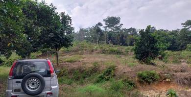 Tanah Dusun 3.74ekar Geran Individu Bukit Tarik Ulu Yam Selangor