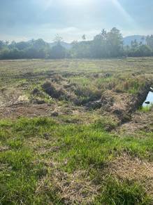 Agricultural-Land-for-sale-Balik-Pulau-Penang