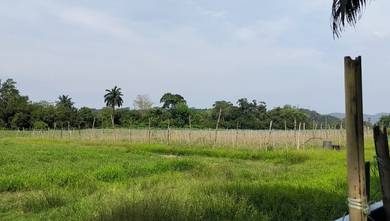 Agricultural-Land-for-sale-Batang-Kali-Selangor
