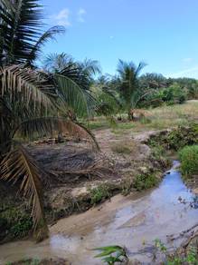 10 acres Coconut Farm,Second Layer,FH,Camping,Layang Layang