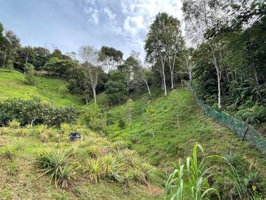 Agricultural-Land-for-sale-Penampang-Sabah