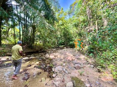 Agricultural-Land-for-sale-Sik-Kedah