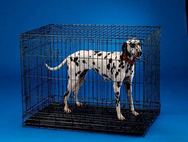 Big Dog cage Made In Malaysia