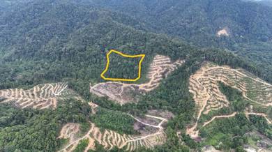 NT Land | 15.5 acres | Kg Mandalipau | Agricultural | Papar |