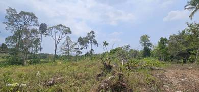 Agricultural-Land-for-sale-Gopeng-Perak