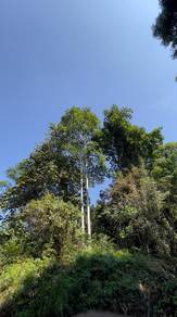 Agricultural-Land-for-sale-Kerling-Selangor-1