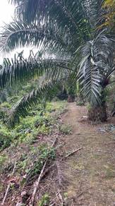 Agricultural-Land-for-sale-Rasa-Selangor-1