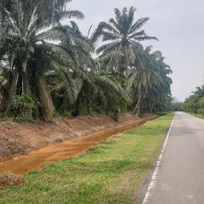Agricultural-Land-for-sale-Banting-Selangor