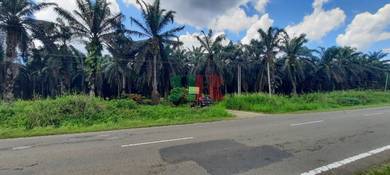 Development Land, Jalan Kunak, Mile 6, District of Kunak