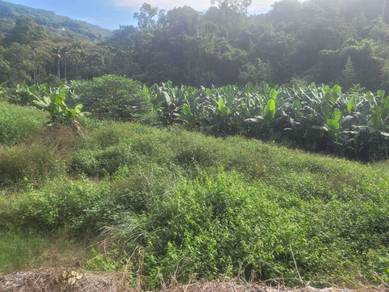 Agricultural-Land-for-sale-Bedong-Kedah