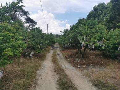 Mantin Pajam Nilai Negeri Sembilan Flat Land For Sales
