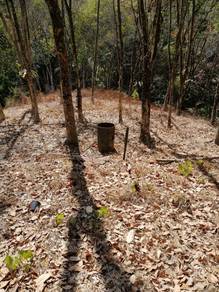 Agricultural-Land-for-sale-Sungai-Siput-Perak