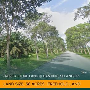 Agricultural-Land-for-sale-Banting-Selangor