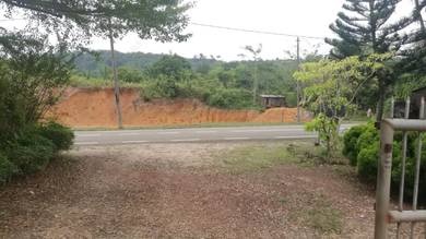 Pinang Tunggal Agricultural  Land