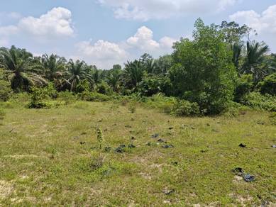 Tanah Freehold sesuai untuk Farm house