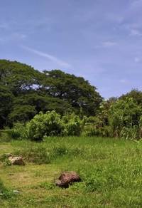 Bakar Arang Residential Land for Sale