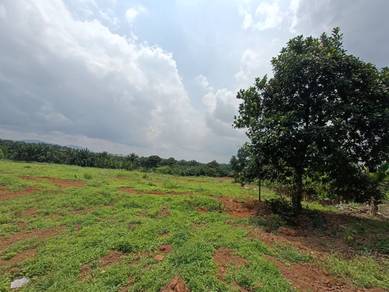 Pekan Nanas Johor/ industrial land/ international lot/ freehold