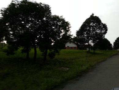 College Heights Garden Resort Gated 10 min to Eco majestic LA 7930 SF