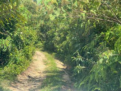 3.58 Ekar Agricultural land Kuala Sawah Seremban
