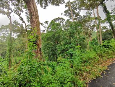 Agricultural-Land-for-sale-Balik-Pulau-Penang