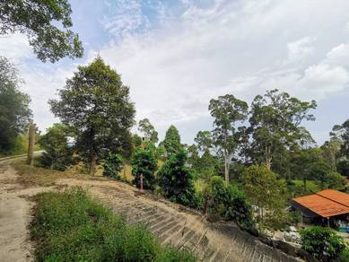 Agricultural-Land-for-sale-Balik-Pulau-Penang