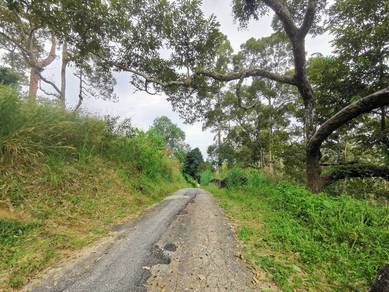 Agricultural-Land-for-sale-Balik-Pulau-Penang