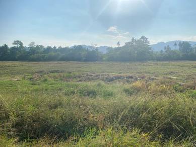 Agricultural-Land-for-sale-Balik-Pulau-Penang