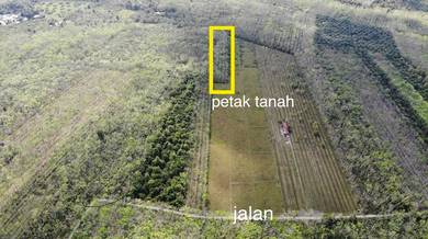 Tanah pasir mas untuk dijual