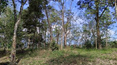 11 Acres Land For Sale At Broga