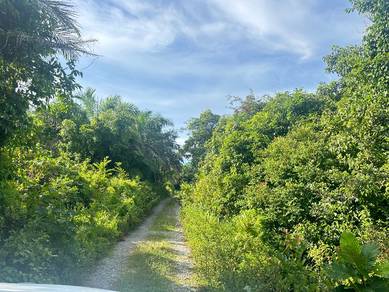 NT 70acres kampung binsuluk membakut