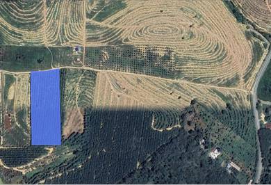 Agricultural-Land-for-sale-Others-Melaka