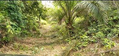 Agricultural-Land-for-sale-Raub-Pahang