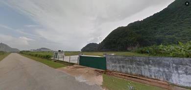 Agricultural-Land-for-sale-Kampong-Kepayang-Perak