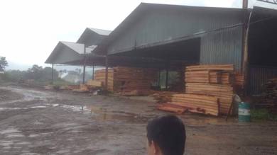 Timberland Timber Kilang Kayu Balak Tanah land