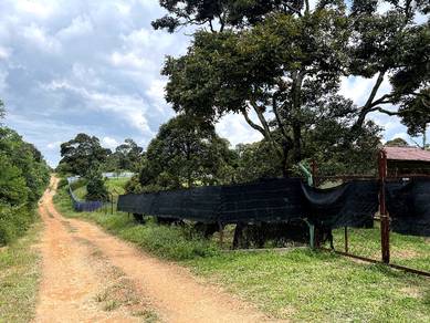 Multiple Agriculture Purpose Land (1 Acre) with Reserve Road for Sale