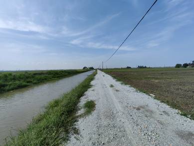 Agricultural-Land-for-sale-Alor-Setar-Kedah