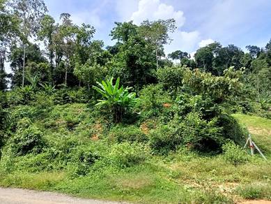 Agricultural-Land-for-sale-Jelebu-Negeri-Sembilan