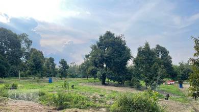 Agricultural-Land-for-sale-Karak-Pahang