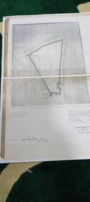 Agricultural-Land-for-sale-Kuala-Langat-Selangor