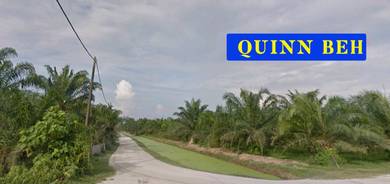 Changkat Land for Sale